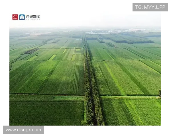 辽宁本钢加快绿色转型步伐推动钢铁产业高质量发展新格局