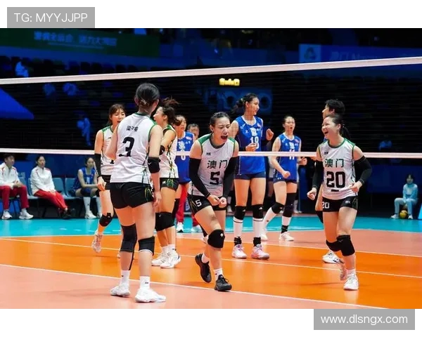 北京排球队的奋斗历程与荣耀时刻全景纪实