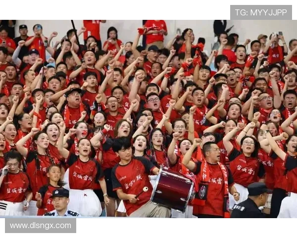 南京排球队速度之争引发热议球迷观点各异探讨比赛策略与技术细节