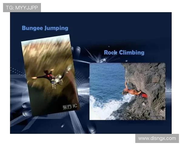 武汉极限运动队的控制与发展趋势分析及其在极限运动热点中的影响