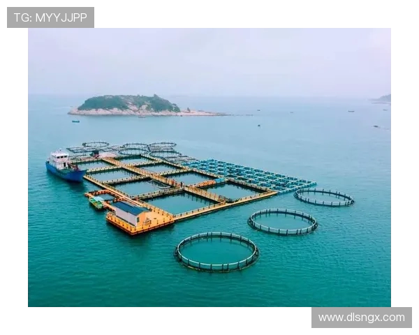 青岛国信水产打造现代海洋牧场助力海洋经济高质量发展 青岛国信水产打造现代海洋牧场助力海洋经济高质量发展