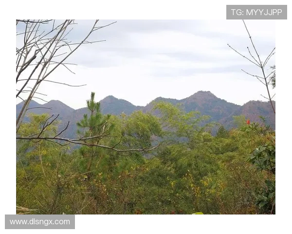 客山与奥伦堡的较量揭示了足球战术与团队合作的重要性 客山与奥伦堡的较量揭示了足球战术与团队合作的重要性